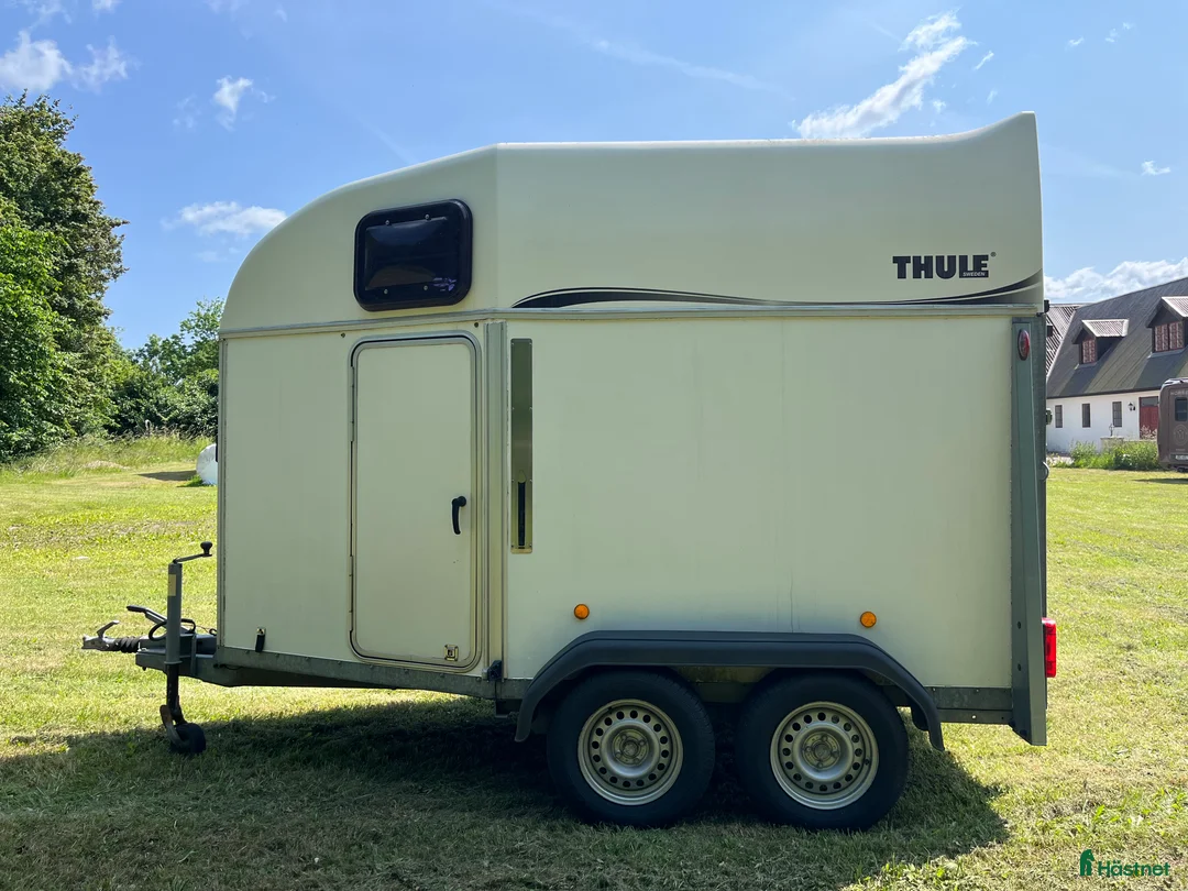 Hästtransporter  fordon & transport till salu: Välskött Thule Royal XT hög lastvikt - Annons 6