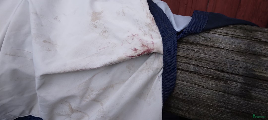 Täcken hästutrustning till salu: Summer Series stl 145 i Norrtälje - Annons 3