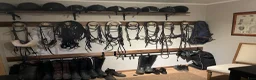  stallplats finnes: Lösdrift för valack 10 min från Södermalm  i Skarpnäck - Annons 6
