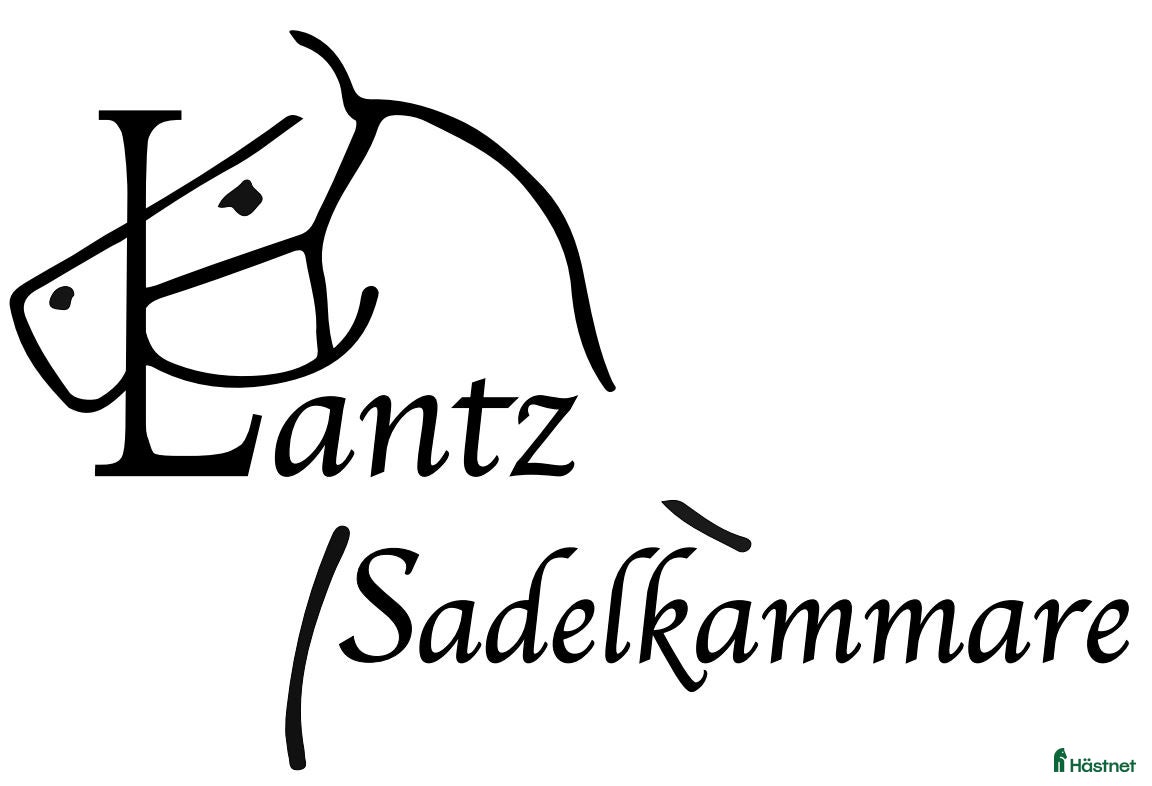 Sadlar hästutrustning till salu: Begagnade kvalitetssadlar, stort sortiment! i Sparsör - Annons 3