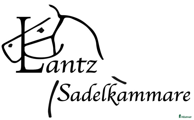 Sadlar hästutrustning till salu i Sparsör - Annons 5