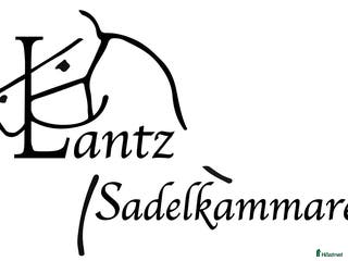 Sadlar hästutrustning till salu: Begagnade kvalitetssadlar, stort sortiment! i Sparsör - Annons 1