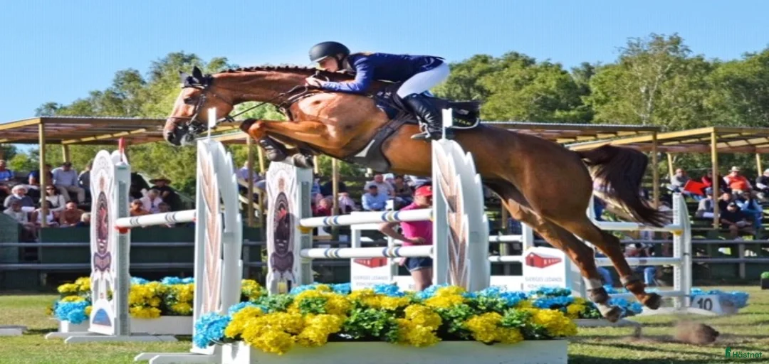 Galleribild {{count}}