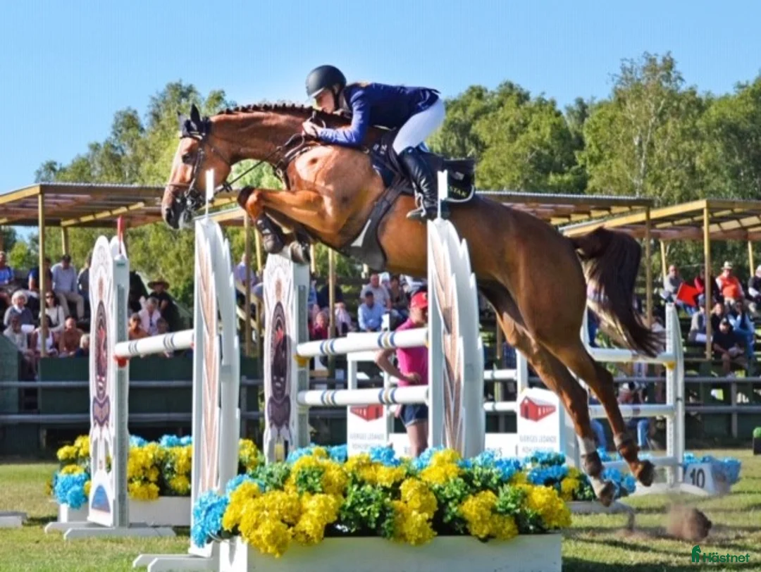 Galleribild {{count}}