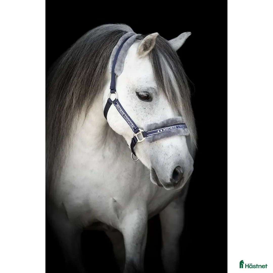 Övrig Hästutrustning hästutrustning till salu: Snygg fluffgrimma, stl cob i Klippan - Annons 1