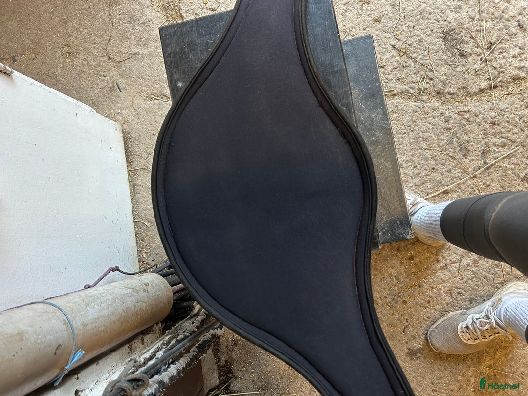 Sadeltillbehör hästutrustning till salu: Magplatta i Vällingby - Annons 2