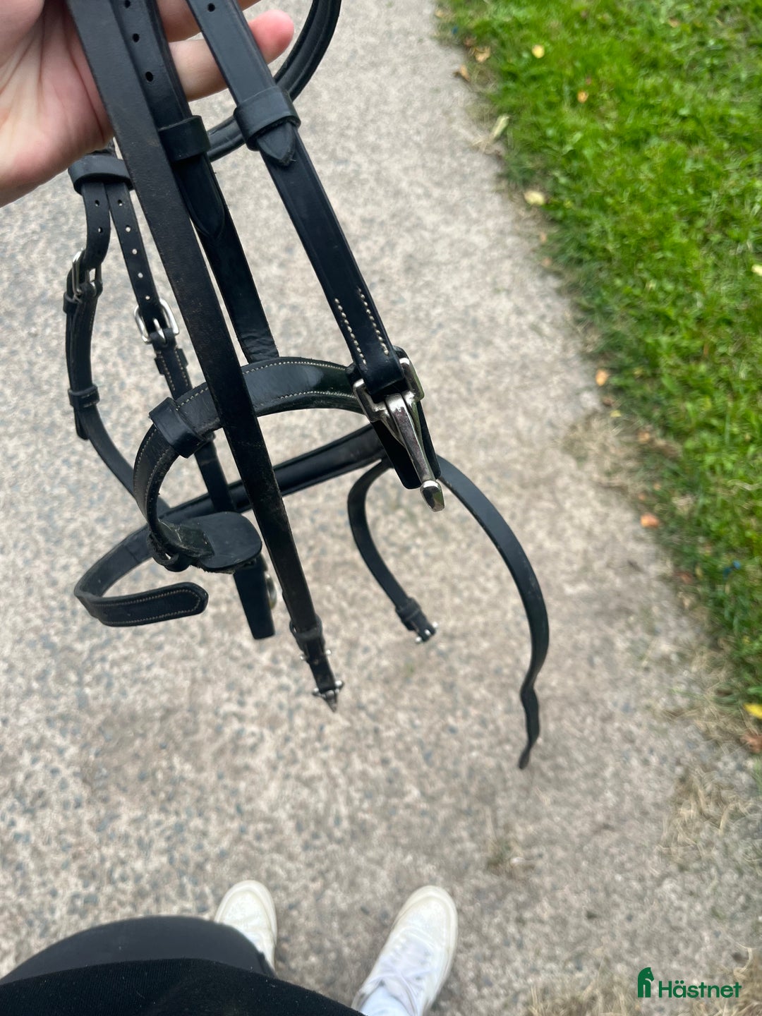 Träns hästutrustning till salu: HFI träns  i Eksjö - Annons 2