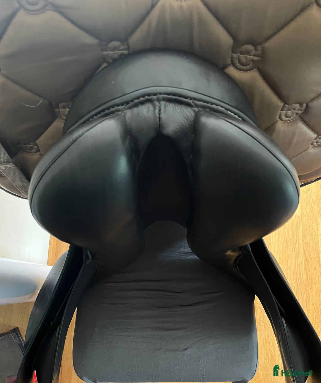 Sadlar hästutrustning till salu: Passier Young winner i Malmö - Annons 3