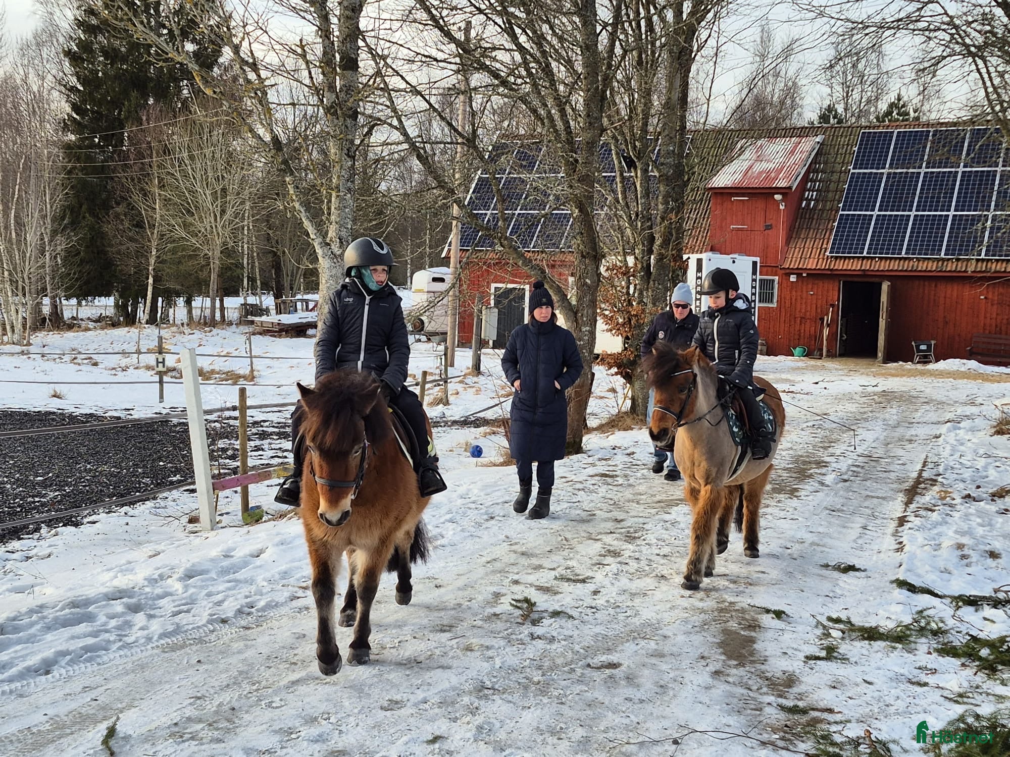  hästar Hästfamilj söker stabil ponny med kapacitet  - Annons 1
