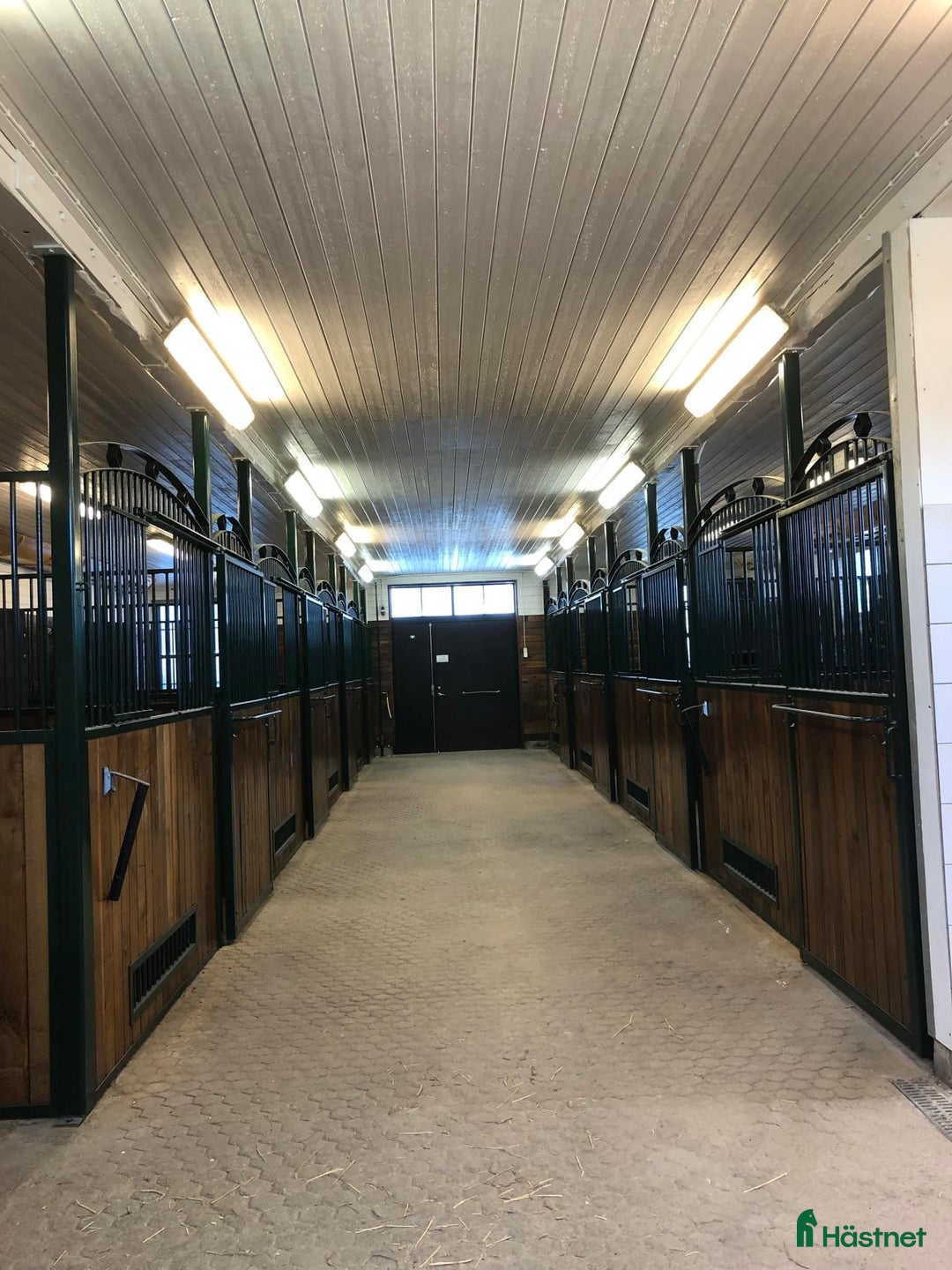  stallplats finnes: Inridning , utbildning, försäljning och tävling - Annons 2