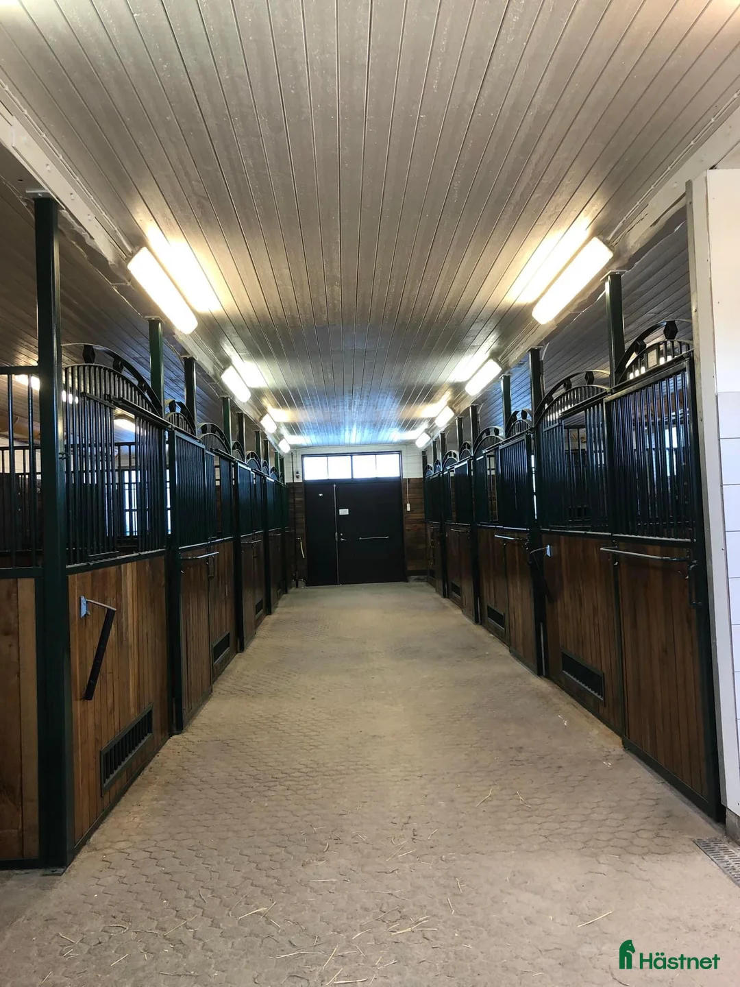  stallplats finnes: Inridning , utbildning, försäljning och tävling - Annons 2