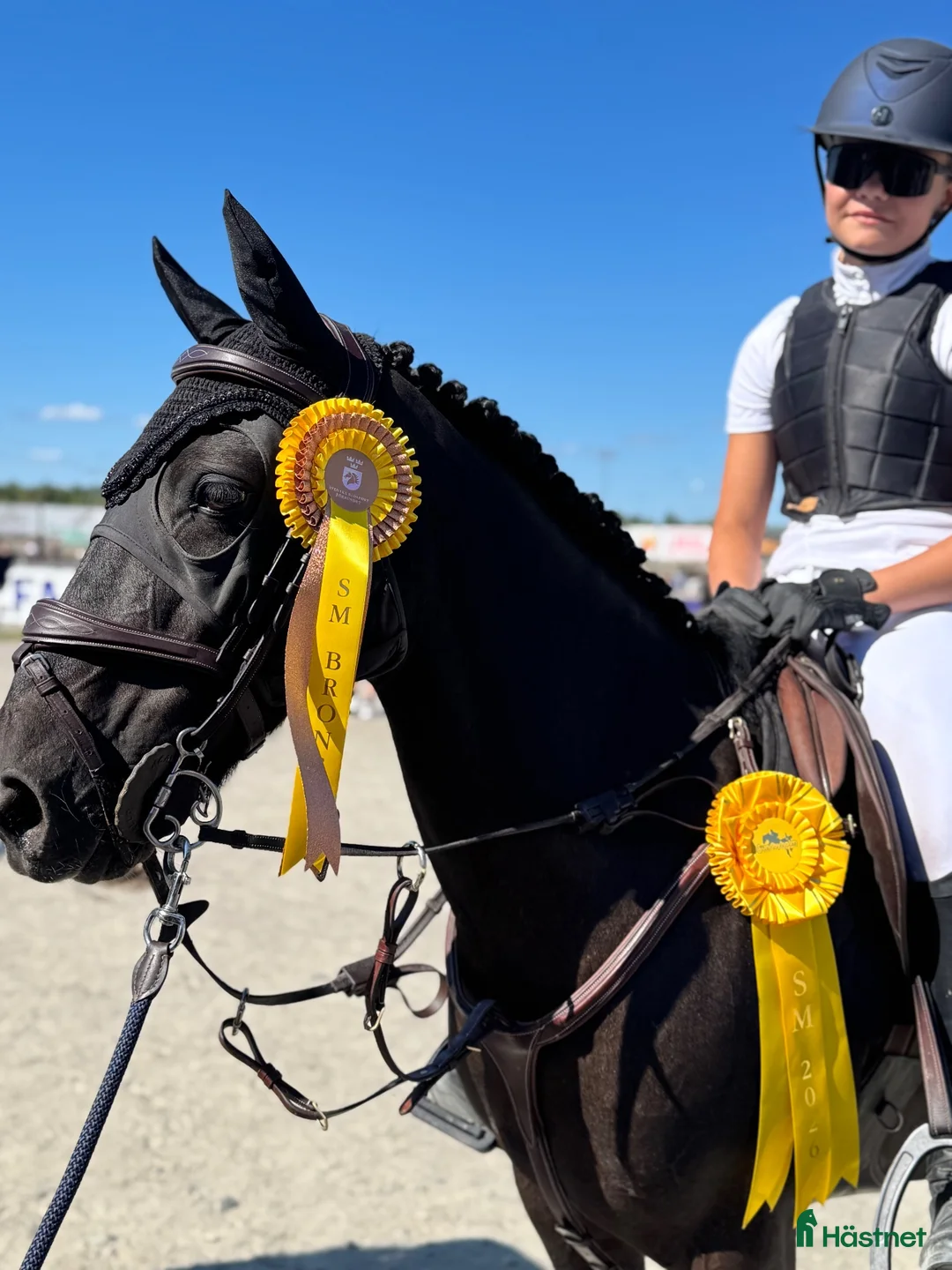 Hoppning hästar till salu: Brons lätt A sm 2026🥉 - Annons 1