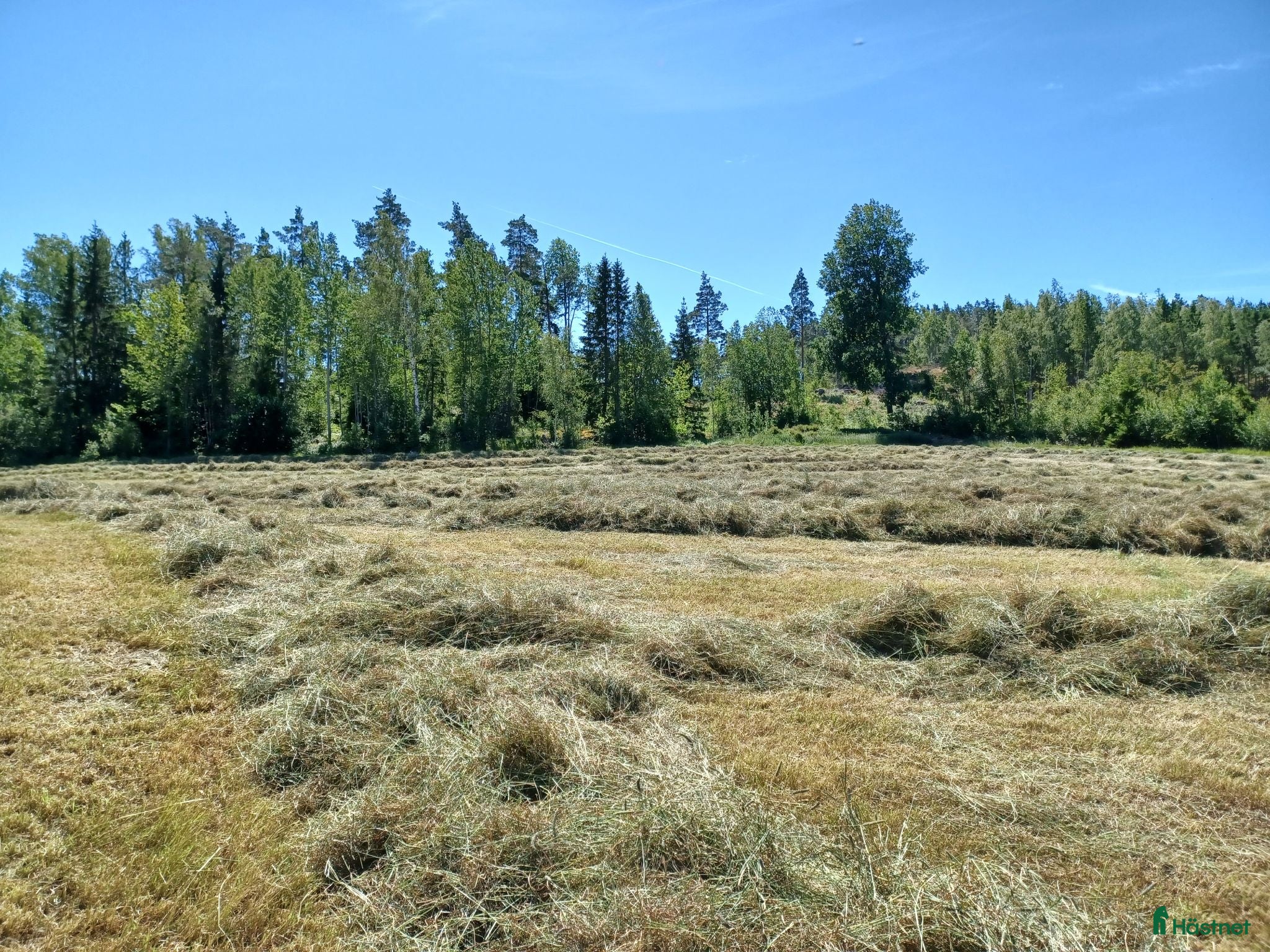 Stallinredning, stängsel & gård övrig utrustning till salu: Hösilage juni 2026 - Annons 3
