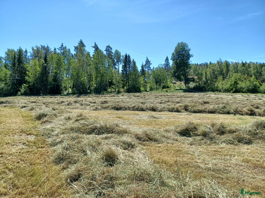 Stallinredning, stängsel & gård övrig utrustning till salu: Hösilage juni 2026 - Annons 1