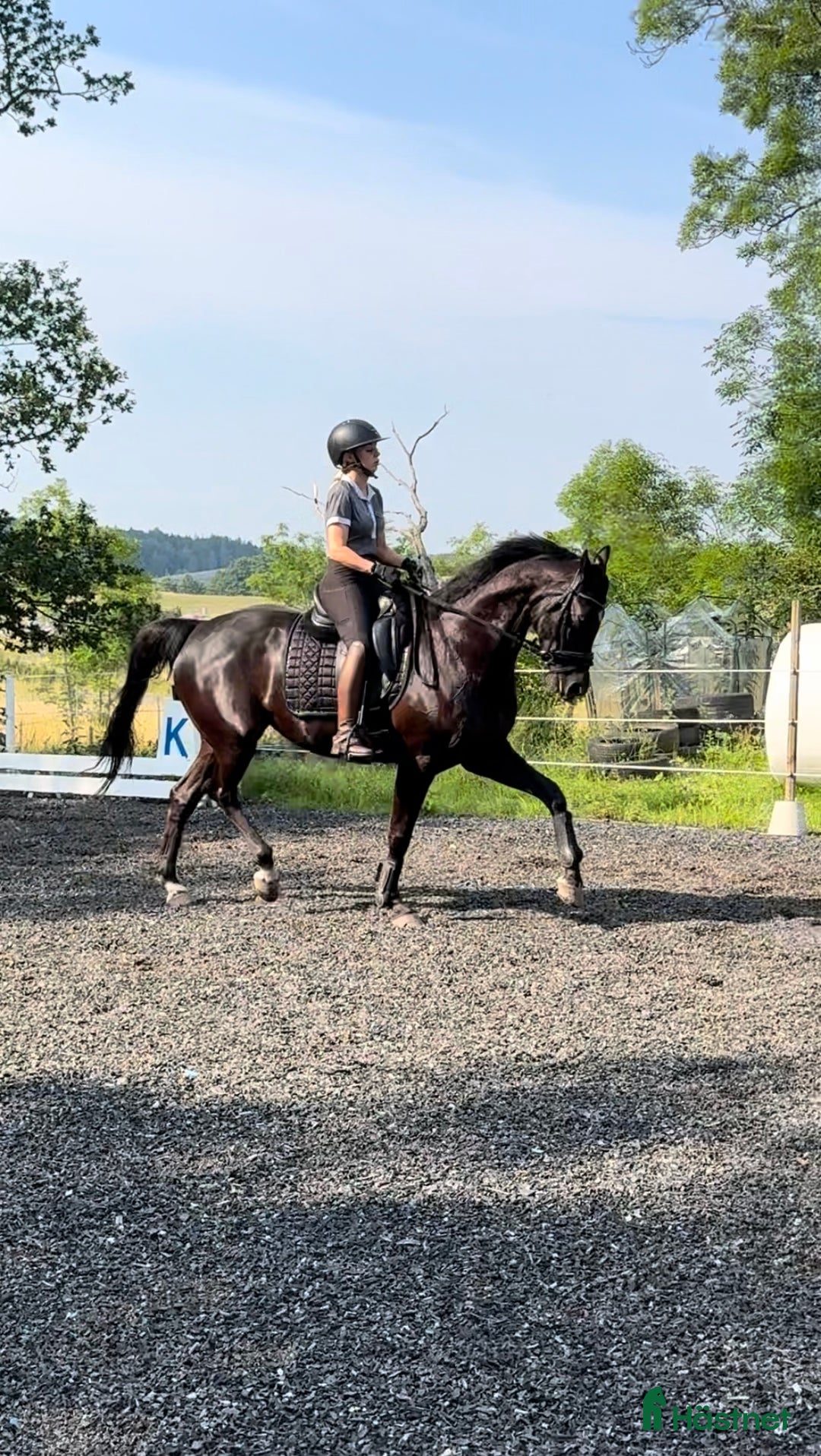  hästservice finnes: Tillridning och inridning av ponny i Stockholm 🌟 i Kista - Annons 6