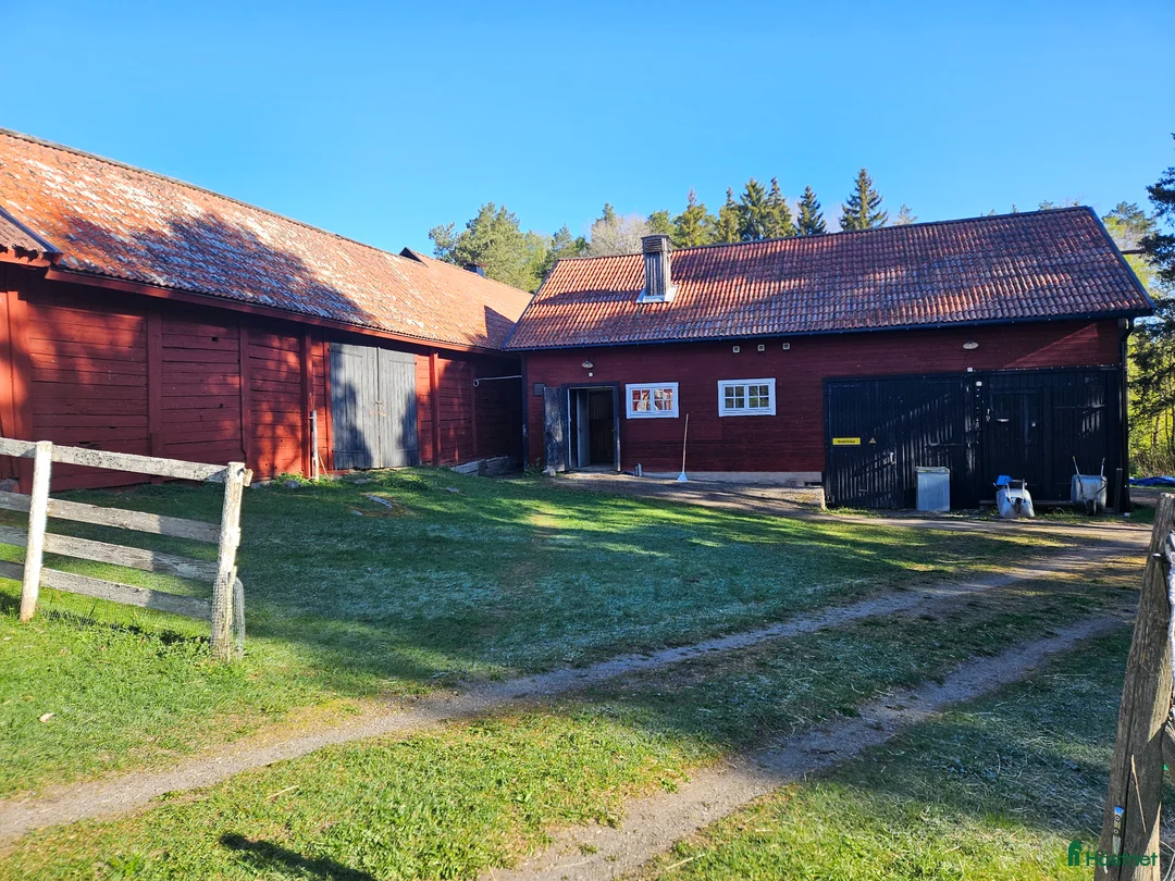  stallplats finnes: Ledig stallplats i Sigtuna! i Sigtuna - Annons 2