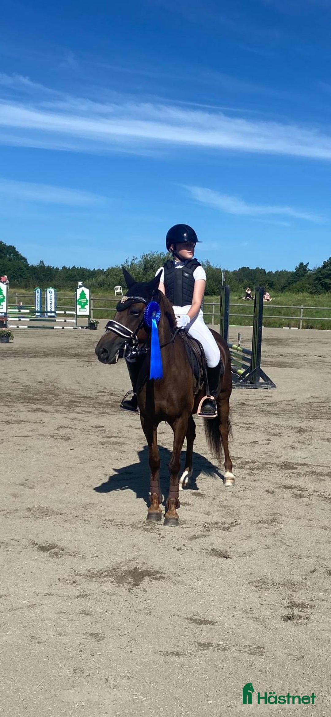 Hoppning hästar till salu: Fantastisk Läromästare  i Sävsjö - Annons 10