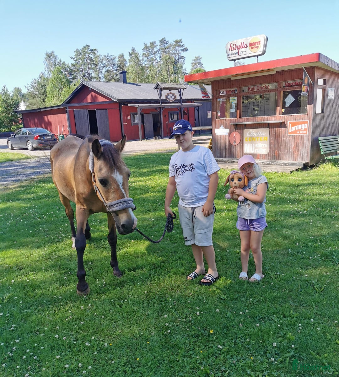 Galleribild {{count}}