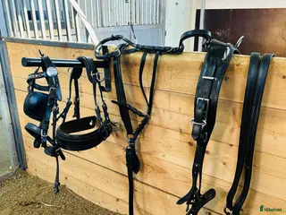 Körselar körning till salu: Ideal sele storlek Ponny i Kungsbacka - Annons 1