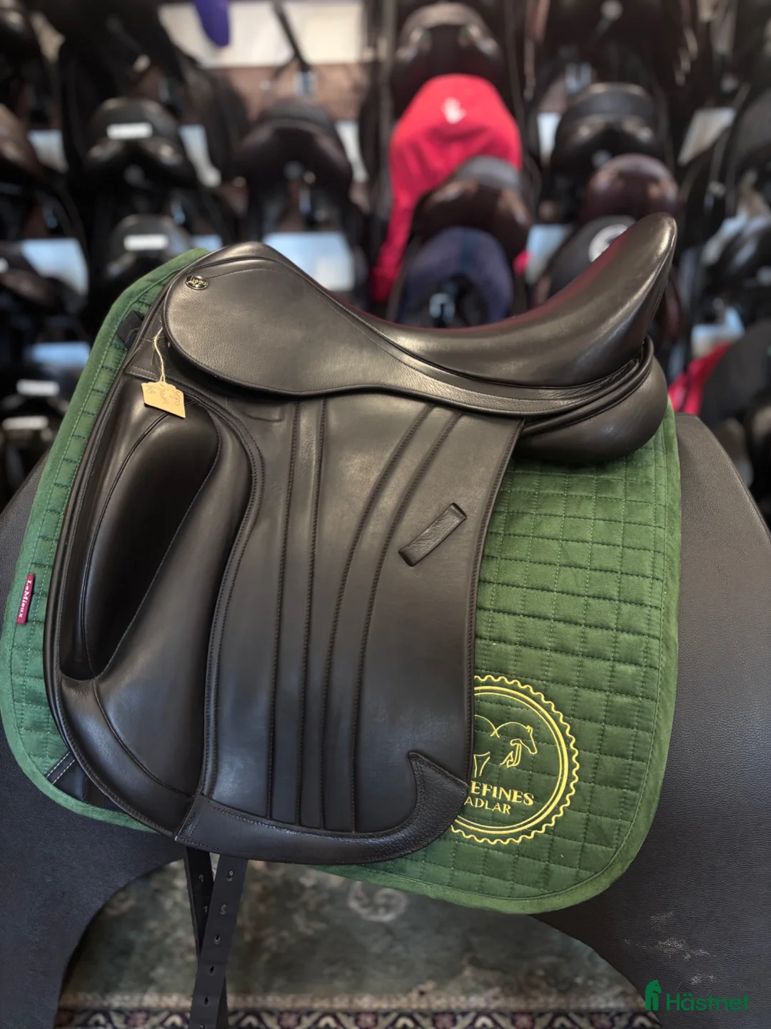 Sadlar hästutrustning till salu: Lippo Aurora ☀️ - Annons 1