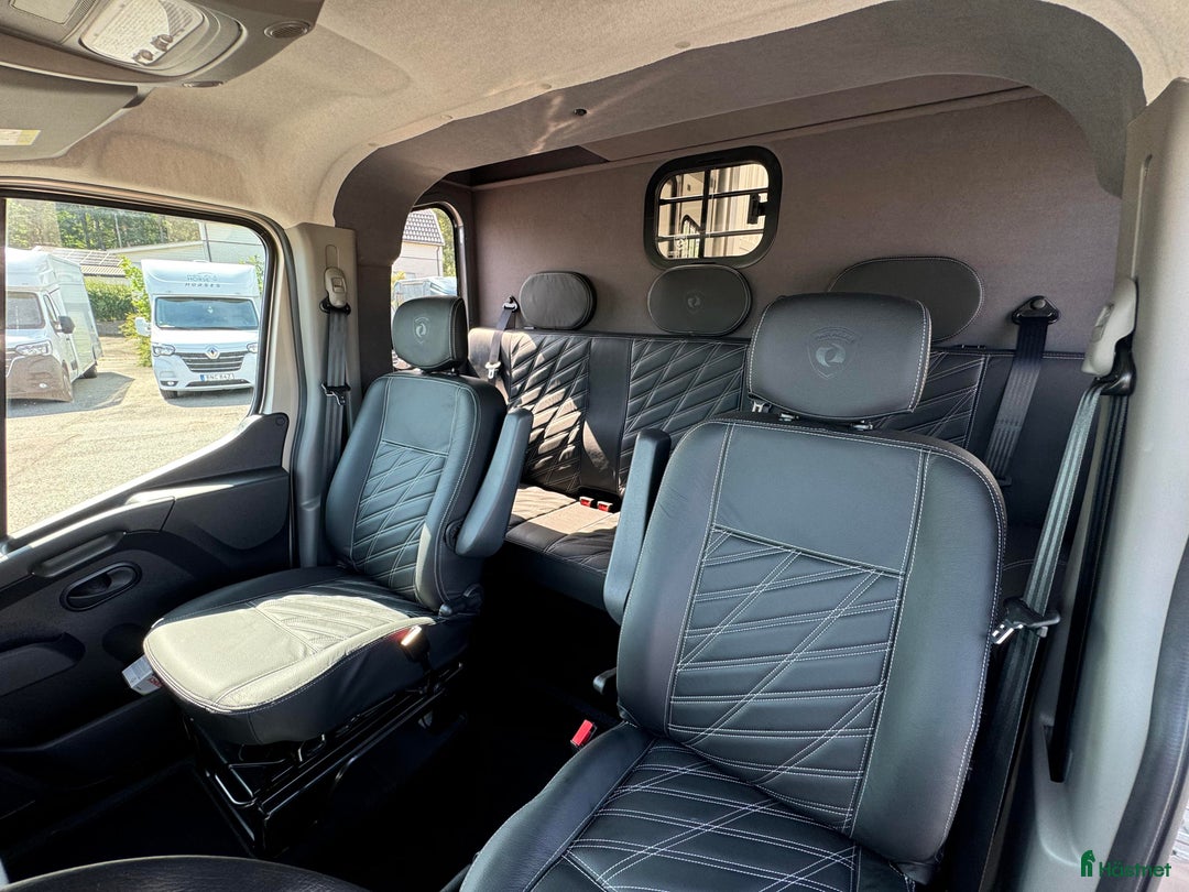 Hästlastbilar  fordon & transport till salu: PARAGAN EXCELSION 5XL STUTERI  i Köping - Bild 11