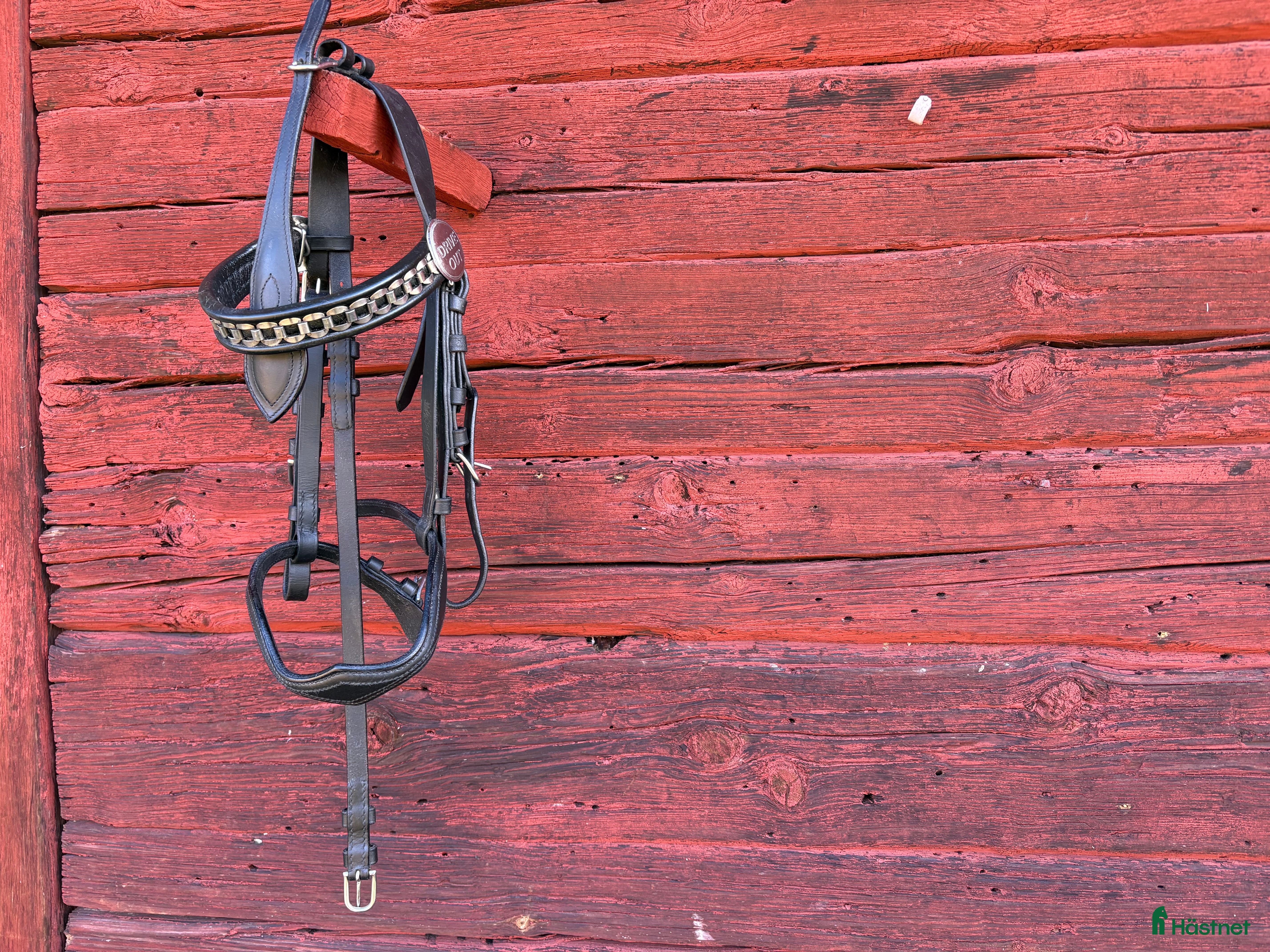 Övrig Körutrustning körning till salu: Körhuvudlag ponny i Vikbolandet - Annons 12