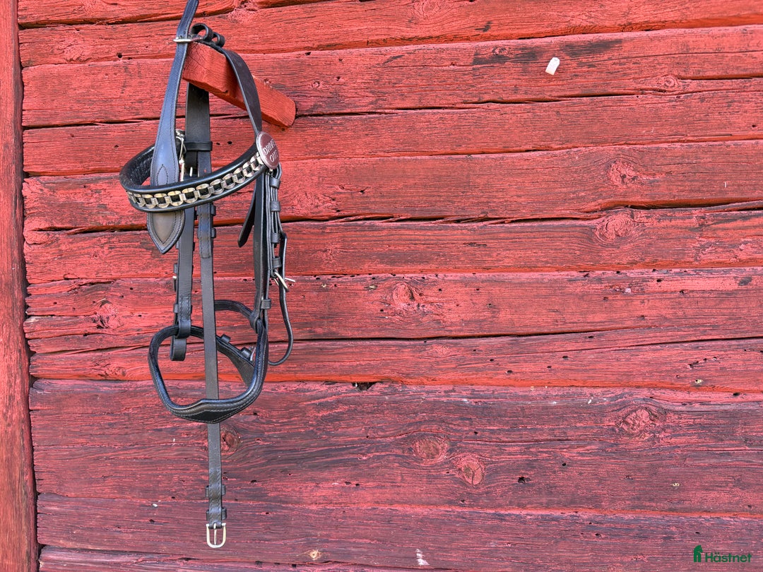 Övrig Körutrustning körning till salu: Körhuvudlag ponny i Vikbolandet - Annons 1