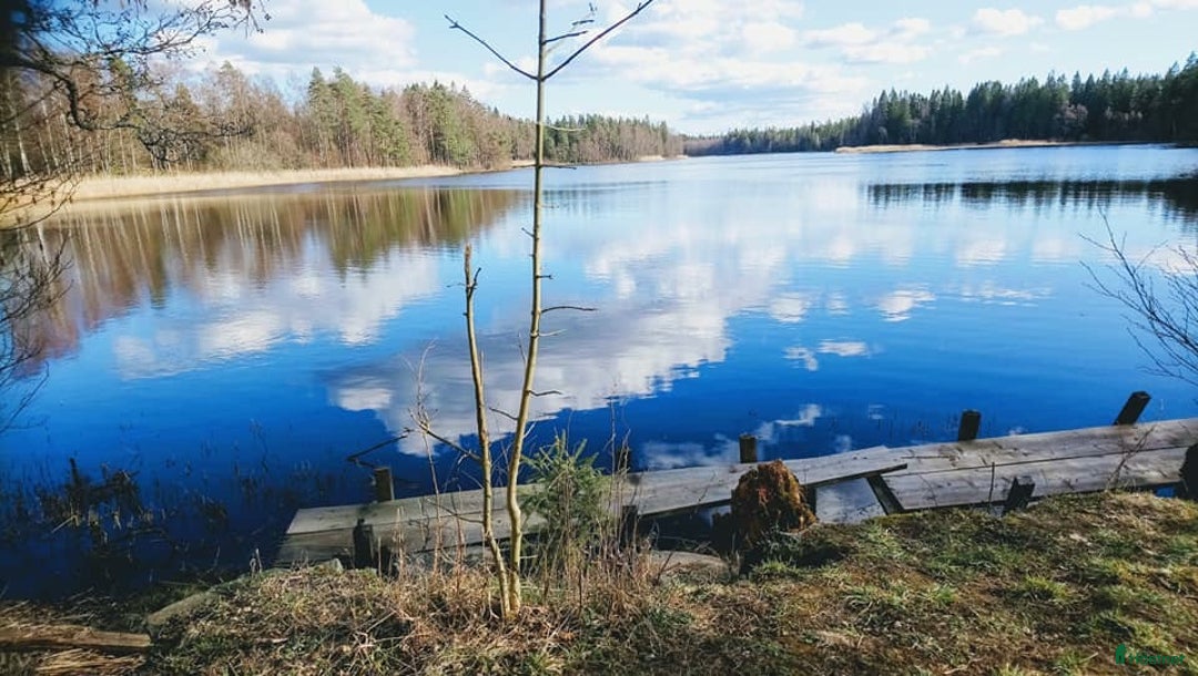  hästservice finnes: Minisemester med egen häst! Vargön  i Vargön - Annons 1