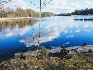 hästservice finnes i Vargön - Annons 1