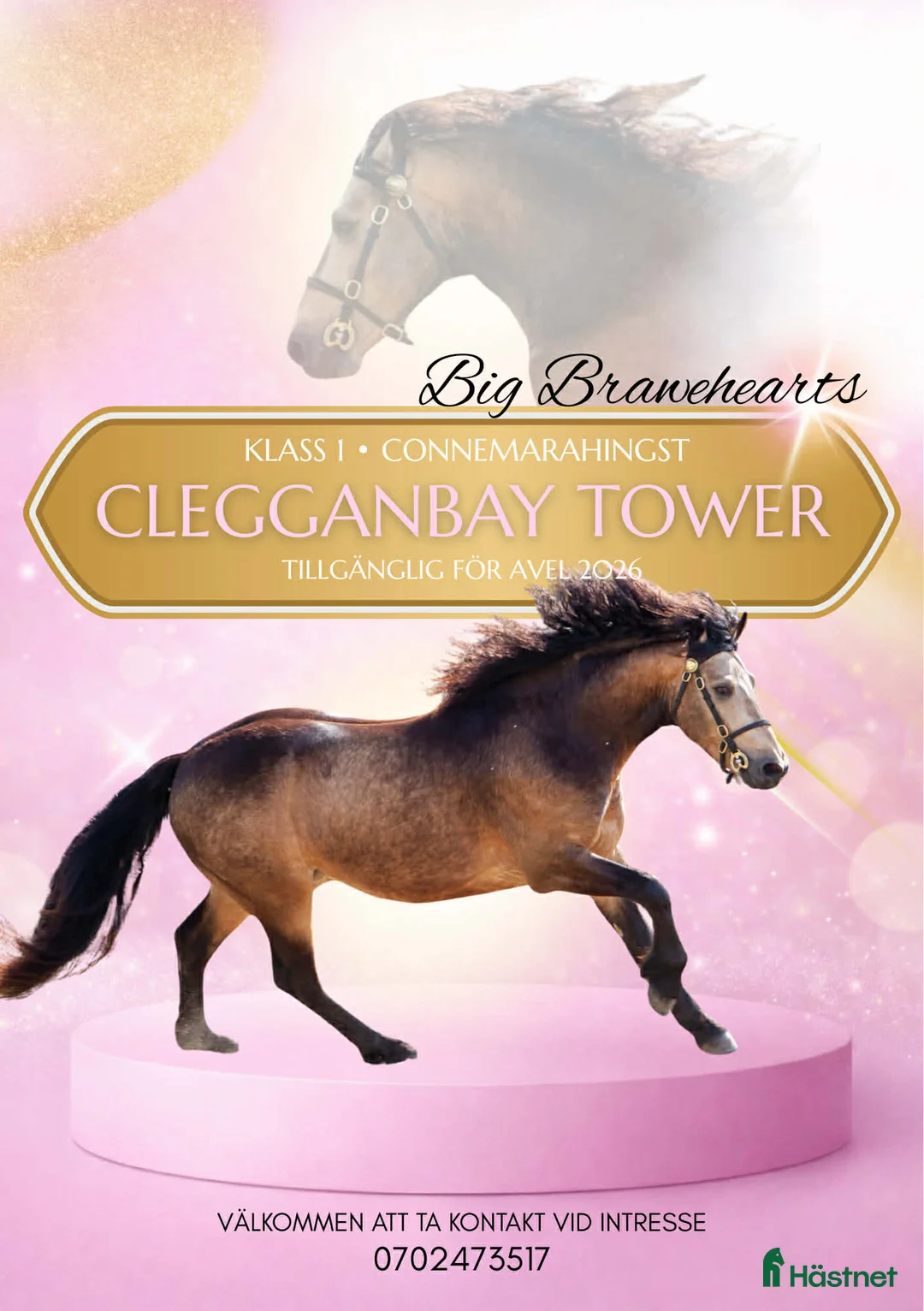  foderhäst finnes: Sommarponny? - Annons 4