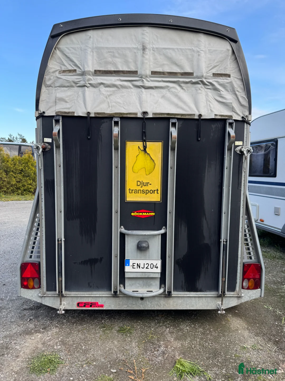 Hästtransporter  fordon & transport till salu: Böckmann Duo C - Annons 2