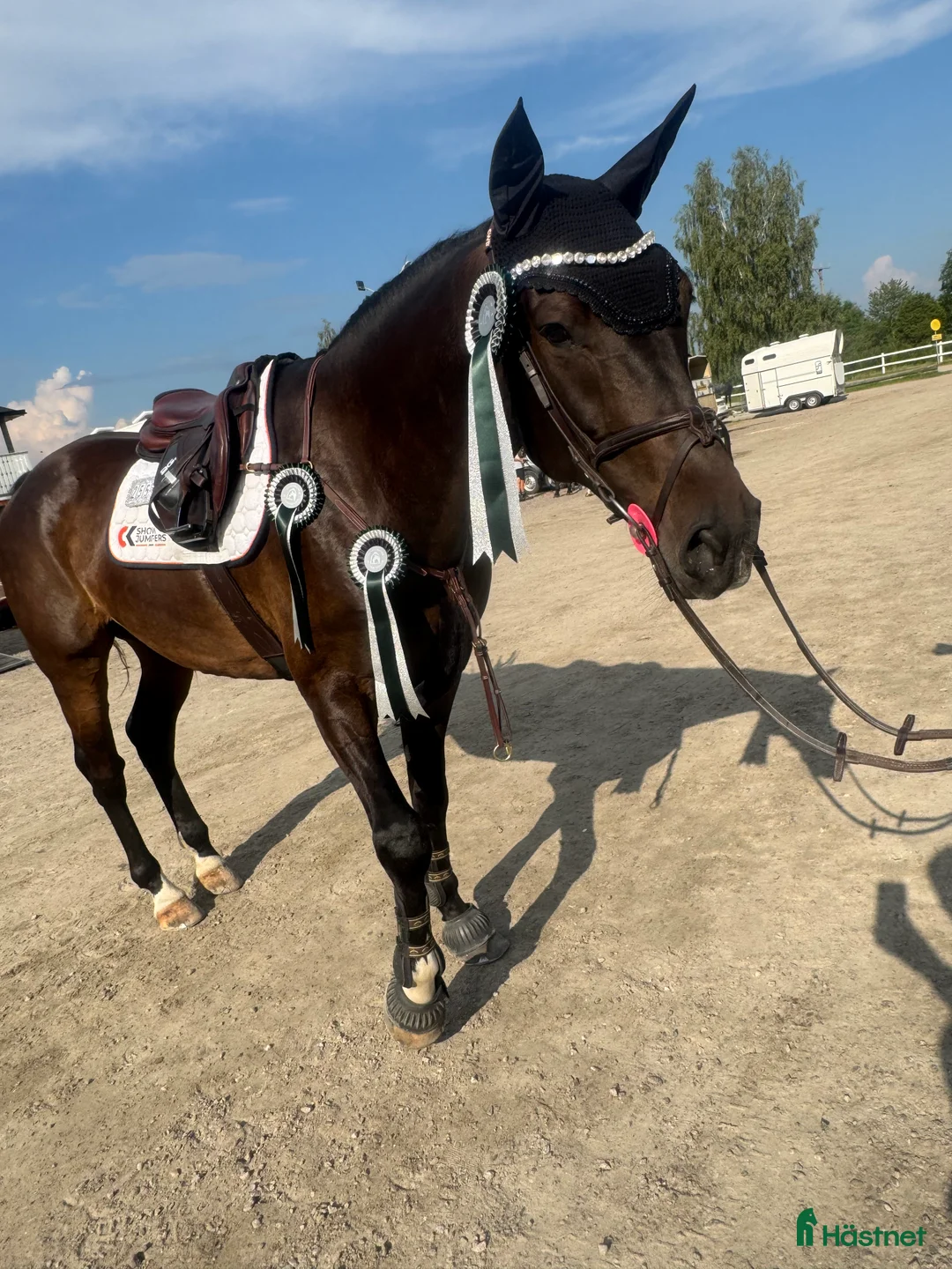  hästjobb finnes: Timmar i stall - Annons 2