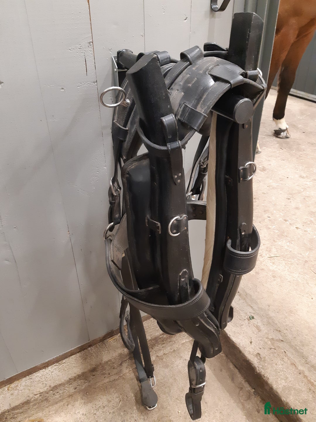 Körselar körning till salu: Loksele stl cob i Linghem - Annons 5