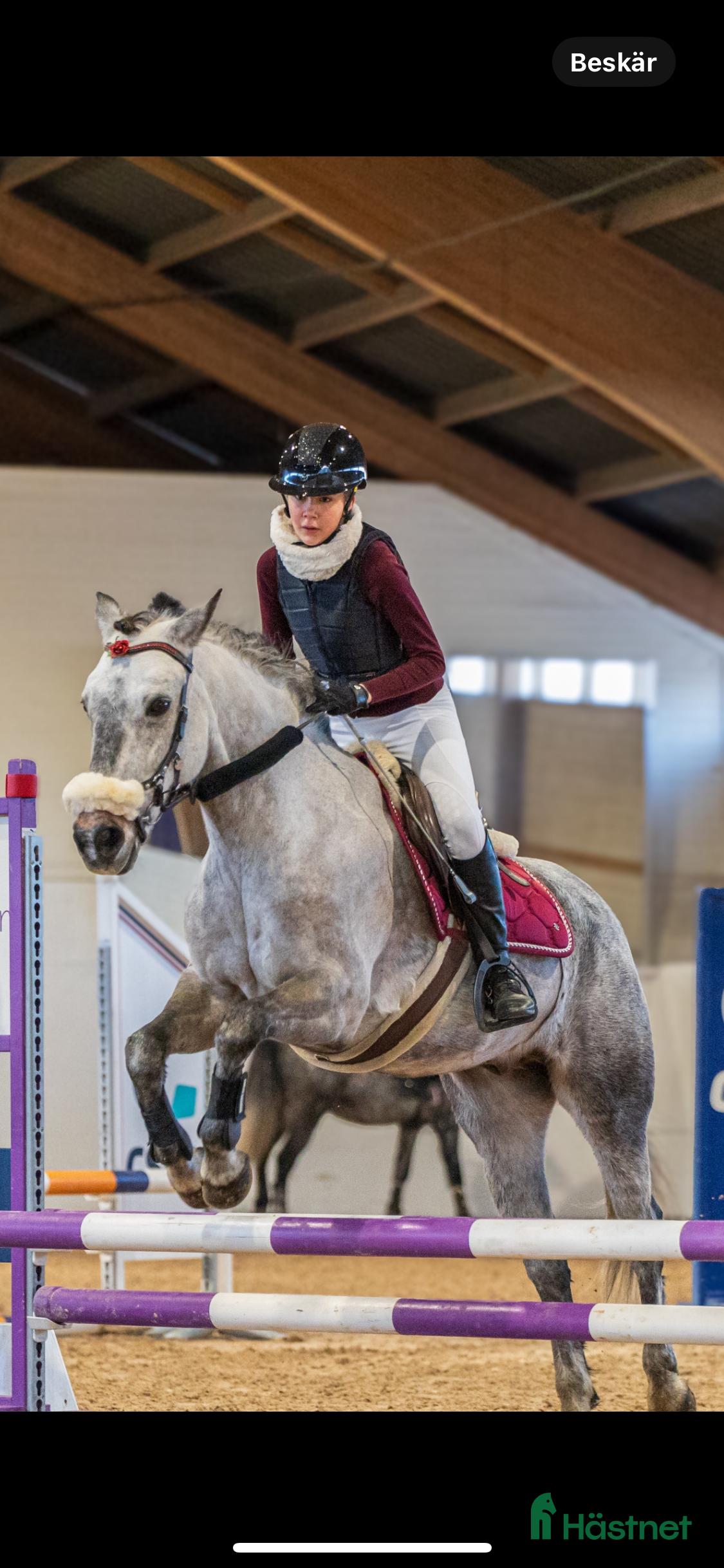Säkerhetsvästar ryttarutrustning till salu: Racesafe child L i Saltsjö-Boo - Annons 1