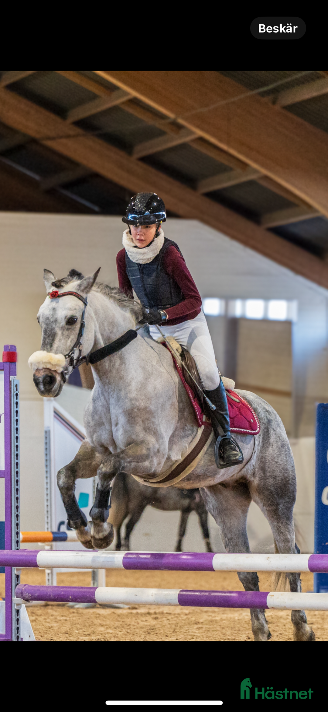 Säkerhetsvästar ryttarutrustning till salu: Racesafe child L i Saltsjö-Boo - Annons 1