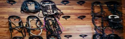  stallplats finnes: Lösdrift-valackflock - Annons 12