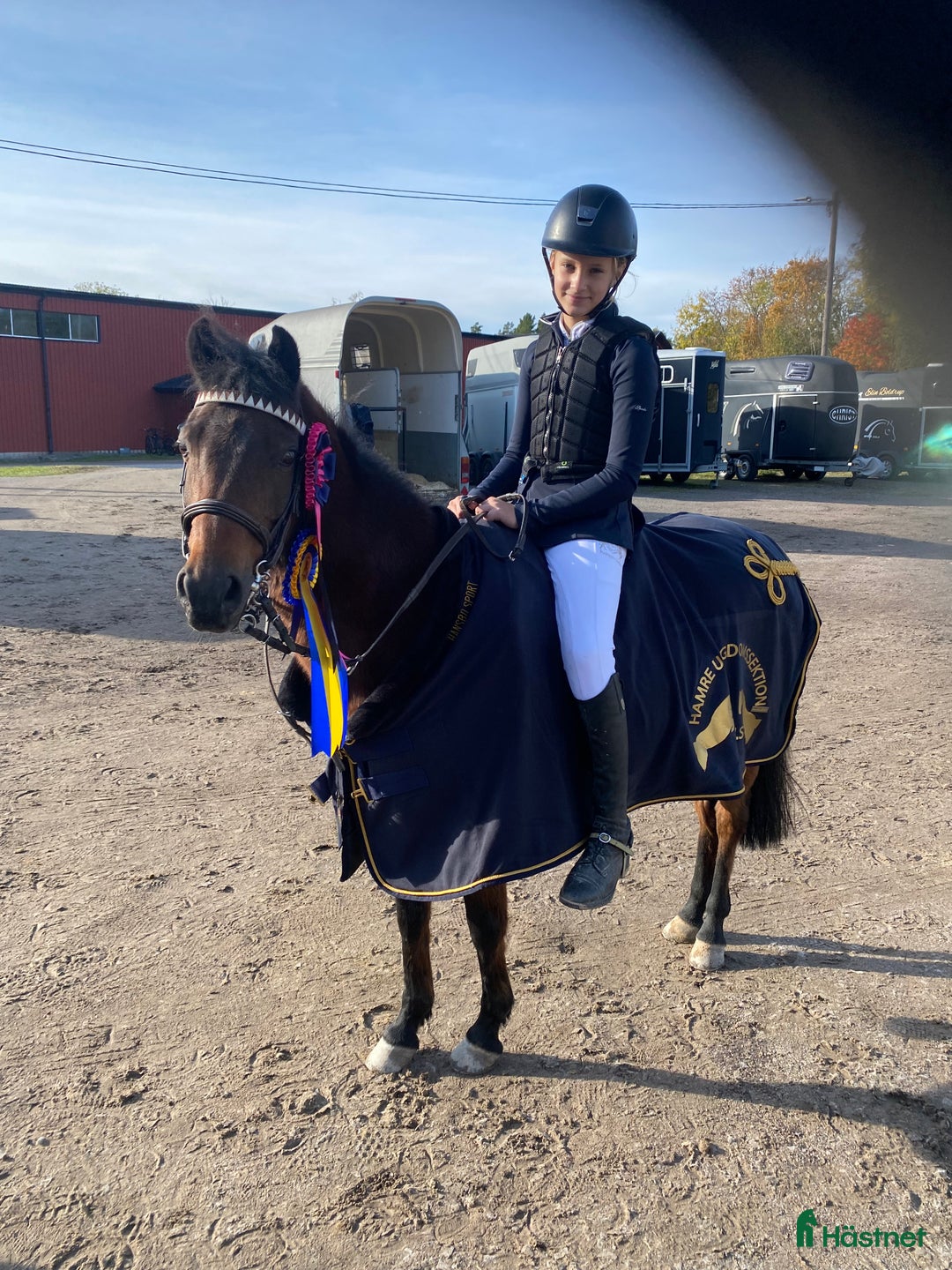 Hoppning hästar till salu: Rosett plockare i Sala - Annons 15