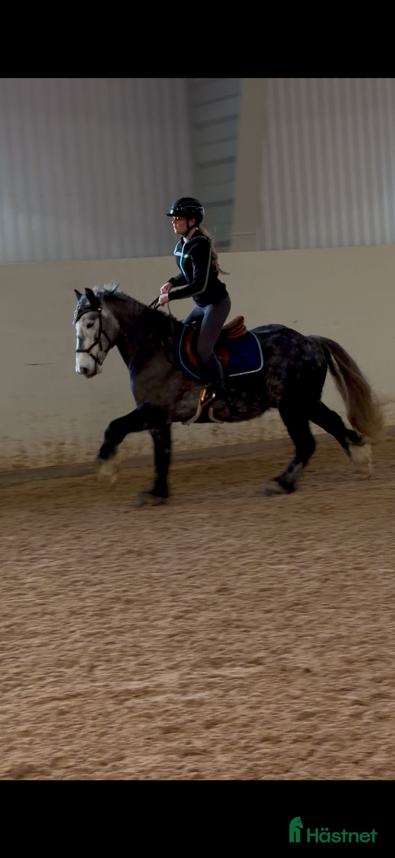  hästar Super fin ponny  i Mariestad - Annons 1