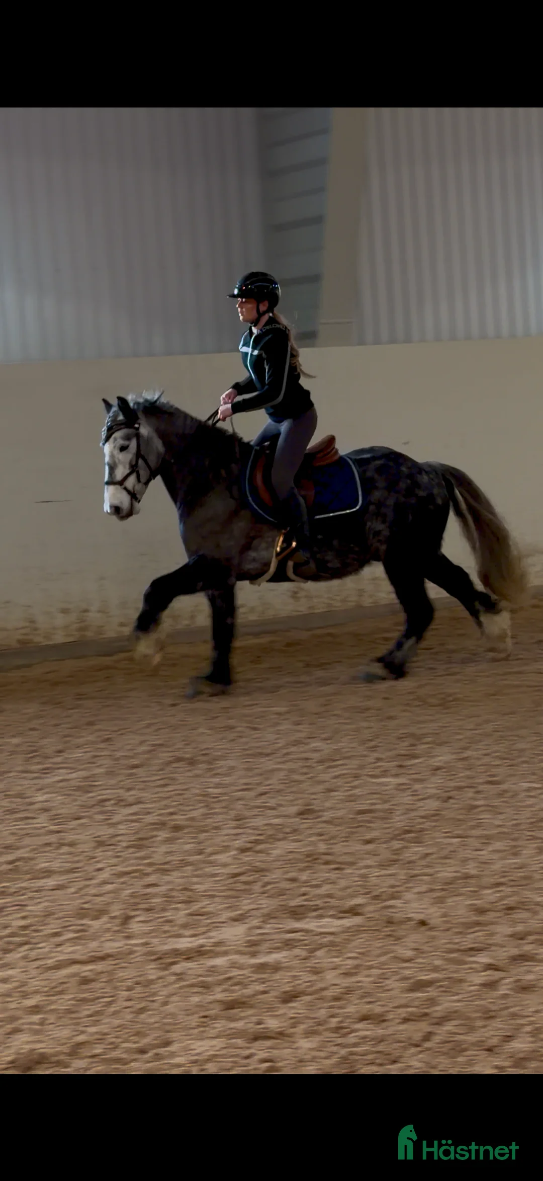 Allround hästar till salu: Super fin ponny  i Mariestad - Annons 1