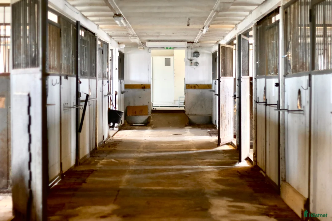  stallplats finnes: Stallplatser i Harplinge  - Annons 1