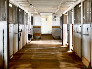 stallplats Stallplatser i Harplinge - Annons 2