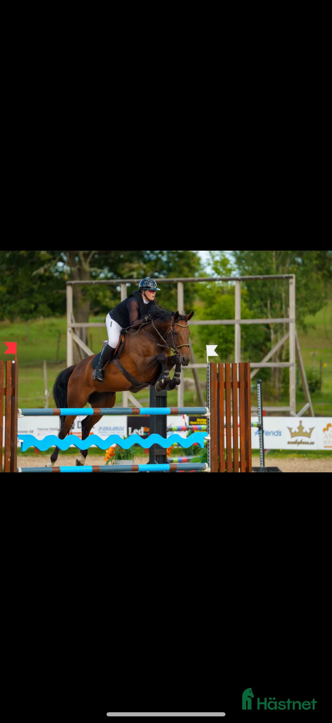  hästservice finnes: Tävling och träning för din häst erbjuds - Annons 1