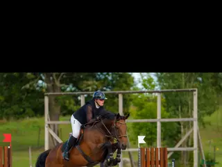 hästservice Tävling och träning för din häst erbjuds - Annons 9