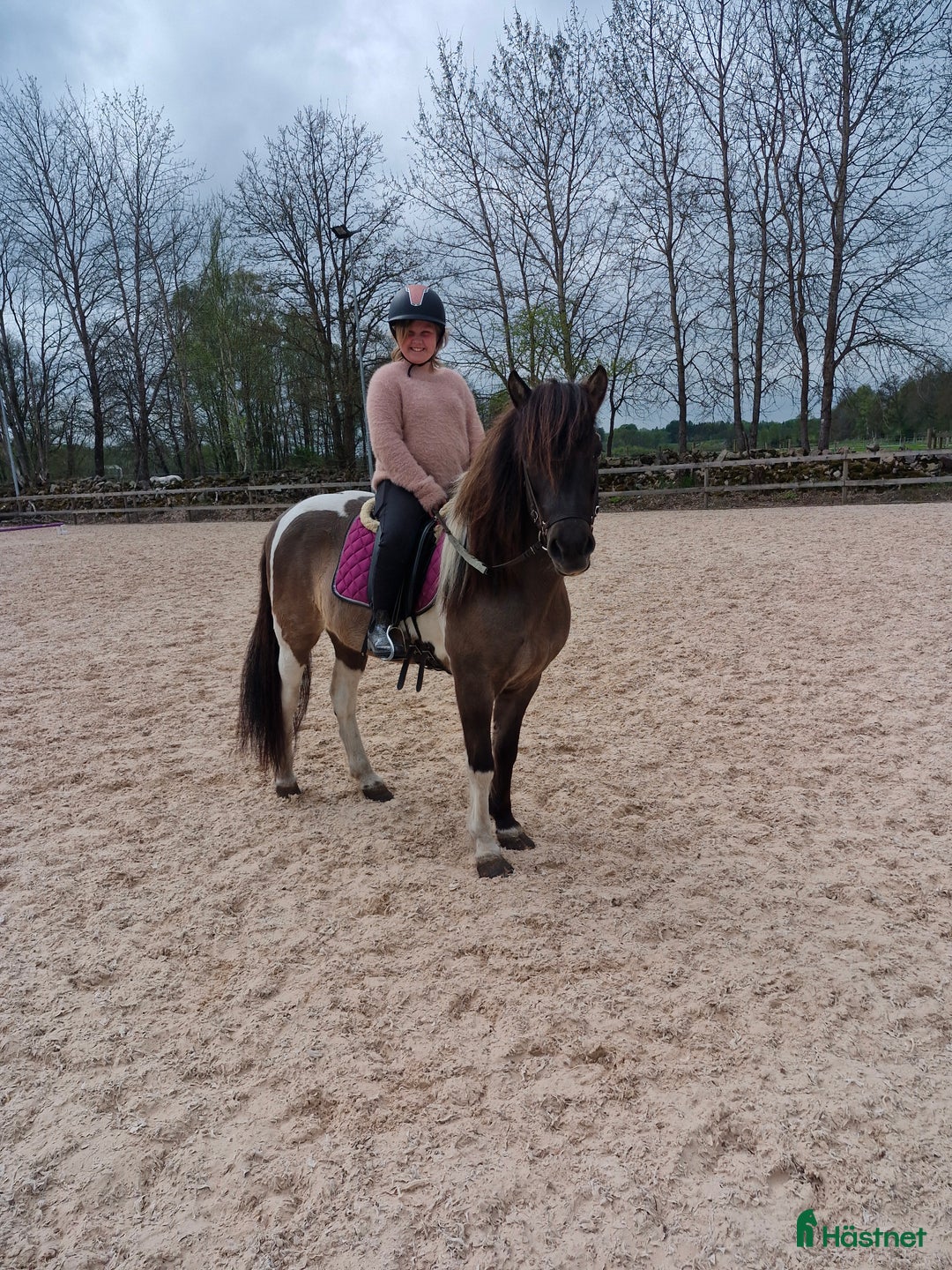  foderhäst sökes: Söker efter en bästa vän till dottern! i Hästveda - Annons 6