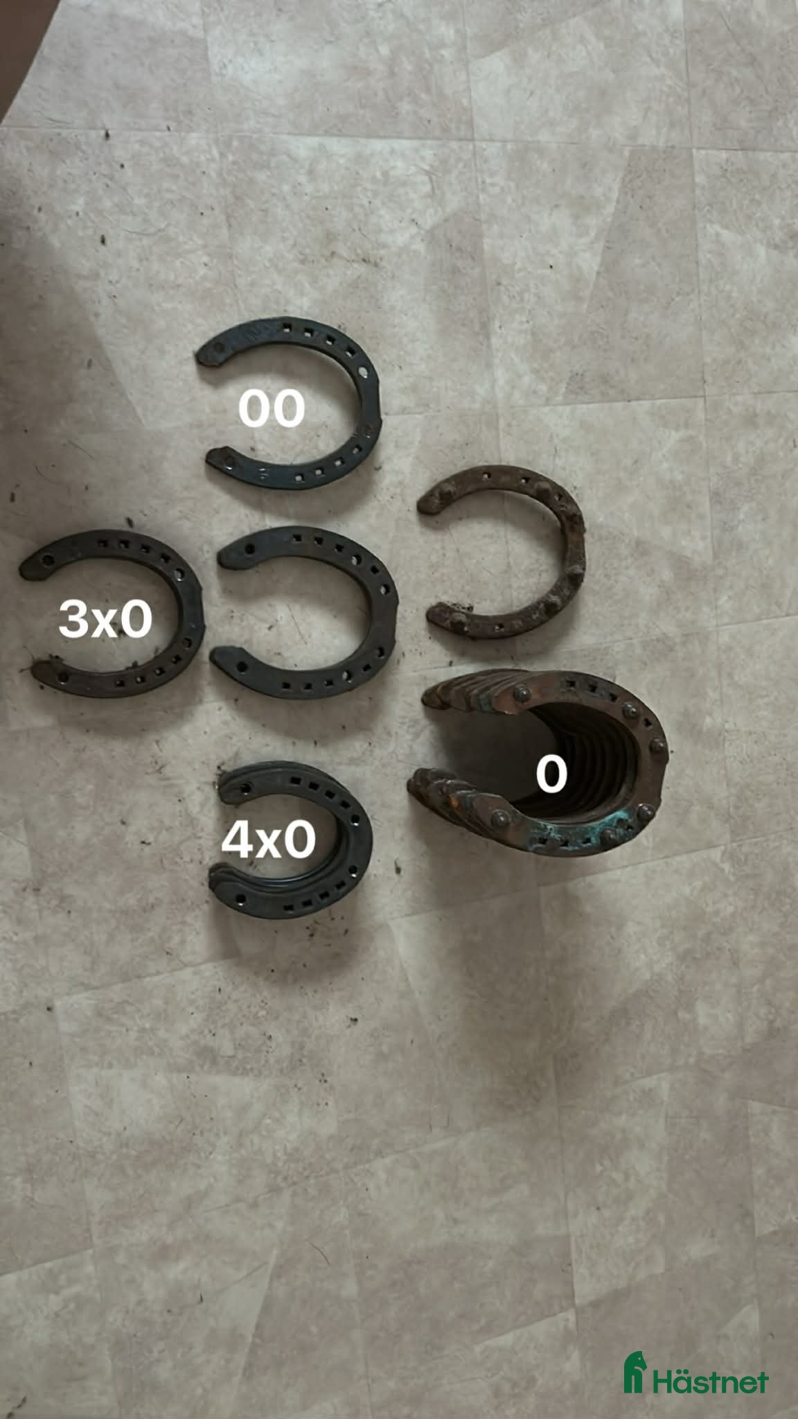 Övrig Hästutrustning hästutrustning till salu: Ponny vinter skor i Bispgården - Annons 5