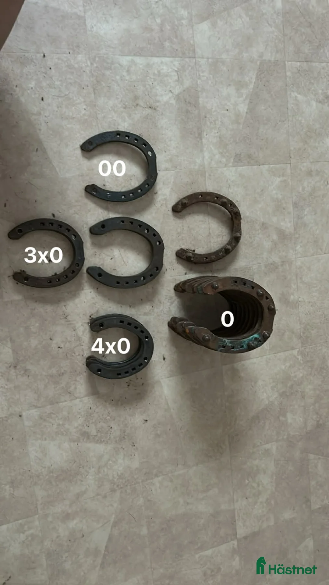 Övrig Hästutrustning hästutrustning till salu: Ponny vinter skor i Bispgården - Annons 1