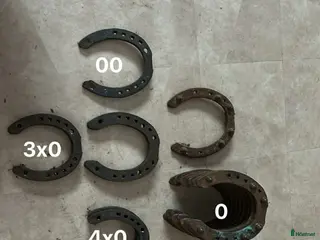 Övrig Hästutrustning hästutrustning Ponny vinter skor i Bispgården - Annons 17