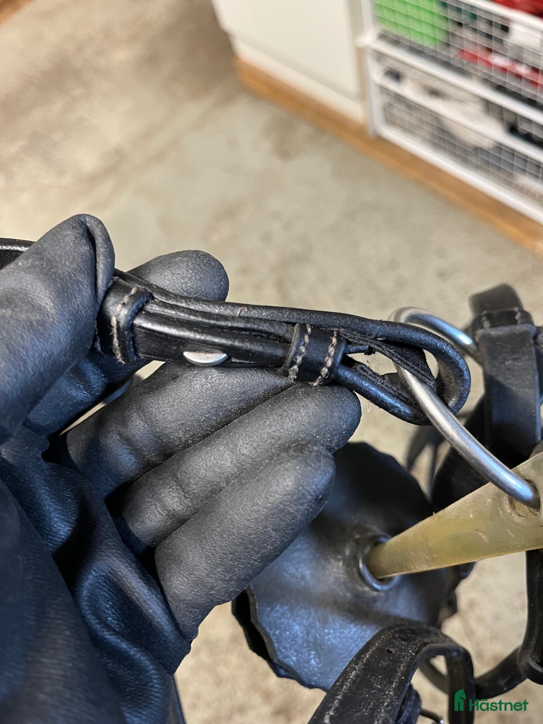 Träns hästutrustning till salu: Ps träns modell Antwerpen  i Växjö - Annons 4