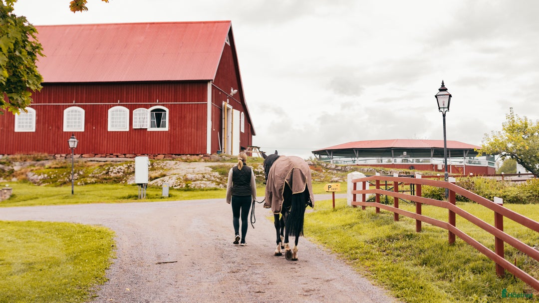  stallplats finnes: Drömläge för dig med mindre hästverksamhet⭐ i Linköping - Bild 5