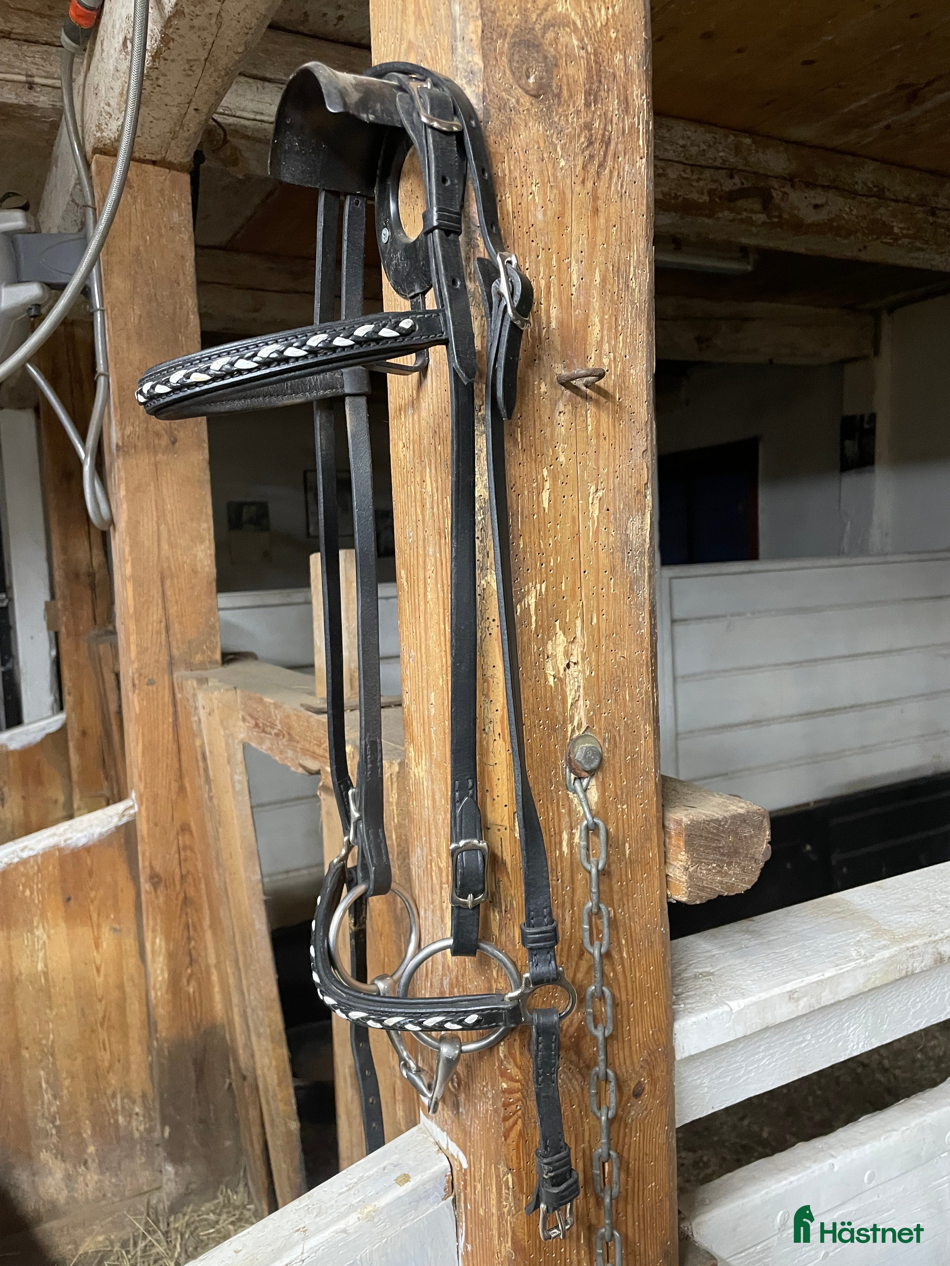 Träns hästutrustning till salu: Islandshästträns i Norrhult - Annons 2